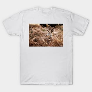 Red Deer Doe Resting in Bracken T-Shirt